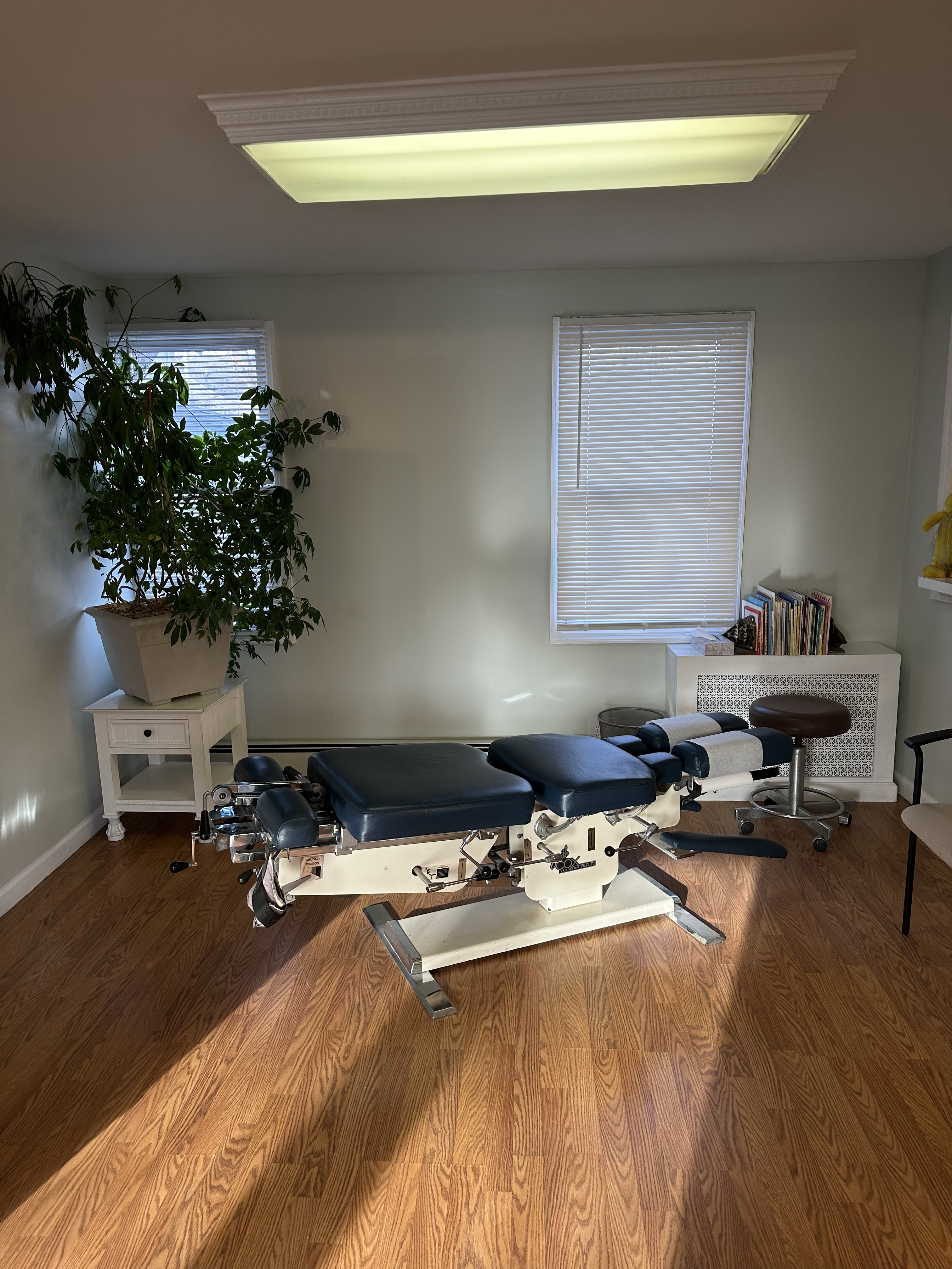 Flexion Distraction